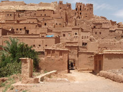 P1016603