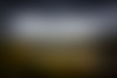 Marmots and Moose and Bears, Oh My!