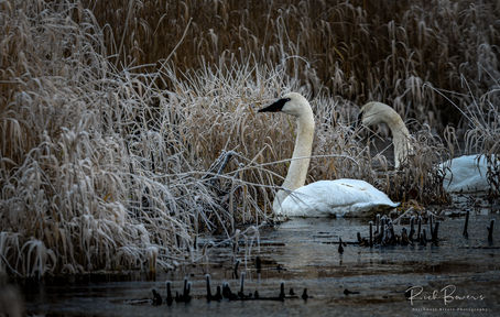 Happy Holidays from the Left Coast!