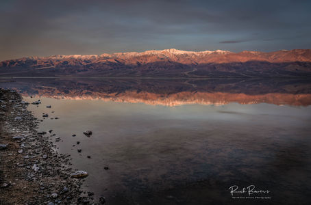 Beauty Everywhere...