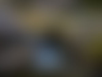 Origin Story (Dedication to the Wild Rivers of Washington State)