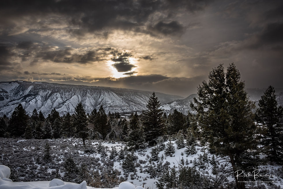 Mammoth 2! Yellowstone, 2025