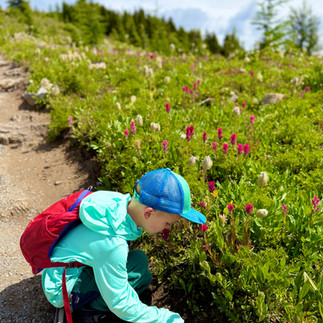 boy searching for wildflowers