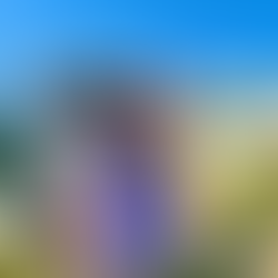 A hiking mom with Mount Rainier National Park