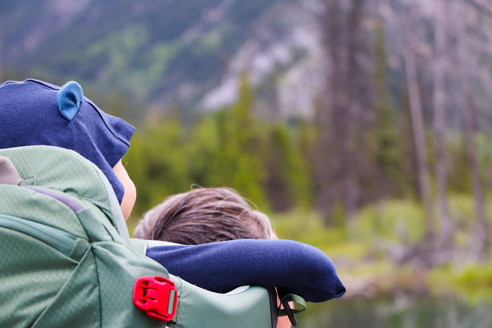 Child in a blue hood sits in a green backpack carrier, resting on an adult, with blurred mountains and forest behind.