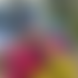 mom and kids adventure van camping in the wild