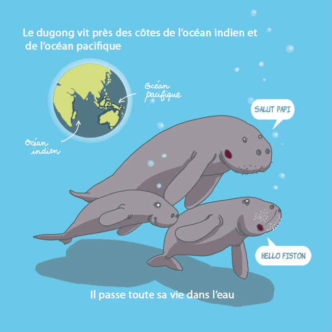 dugong2.gif