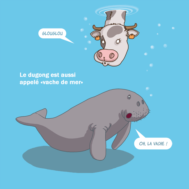 dugong3.gif