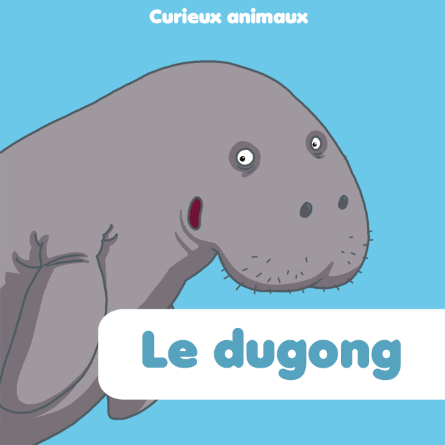dugong1.gif