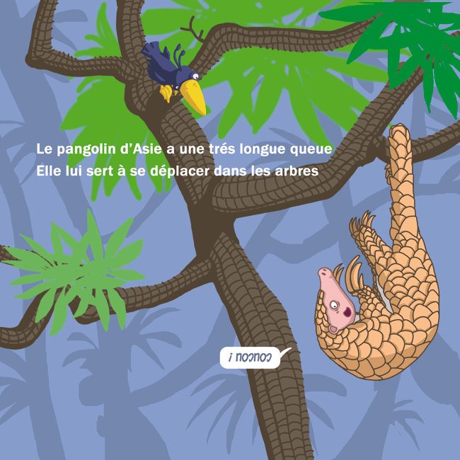 pangolin4.gif