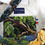 Thumbnail: Tiger