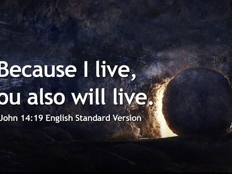 Day 64: Spiritual Food in Quarantine