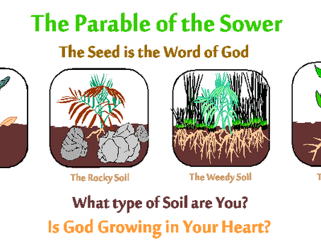 Day 65: Spiritual Food in Quarantine