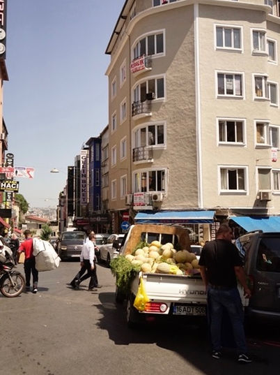 _DSC3533 Mittel.jpeg