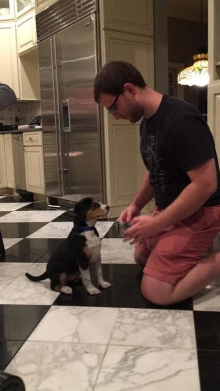 apollo sitting.jpeg