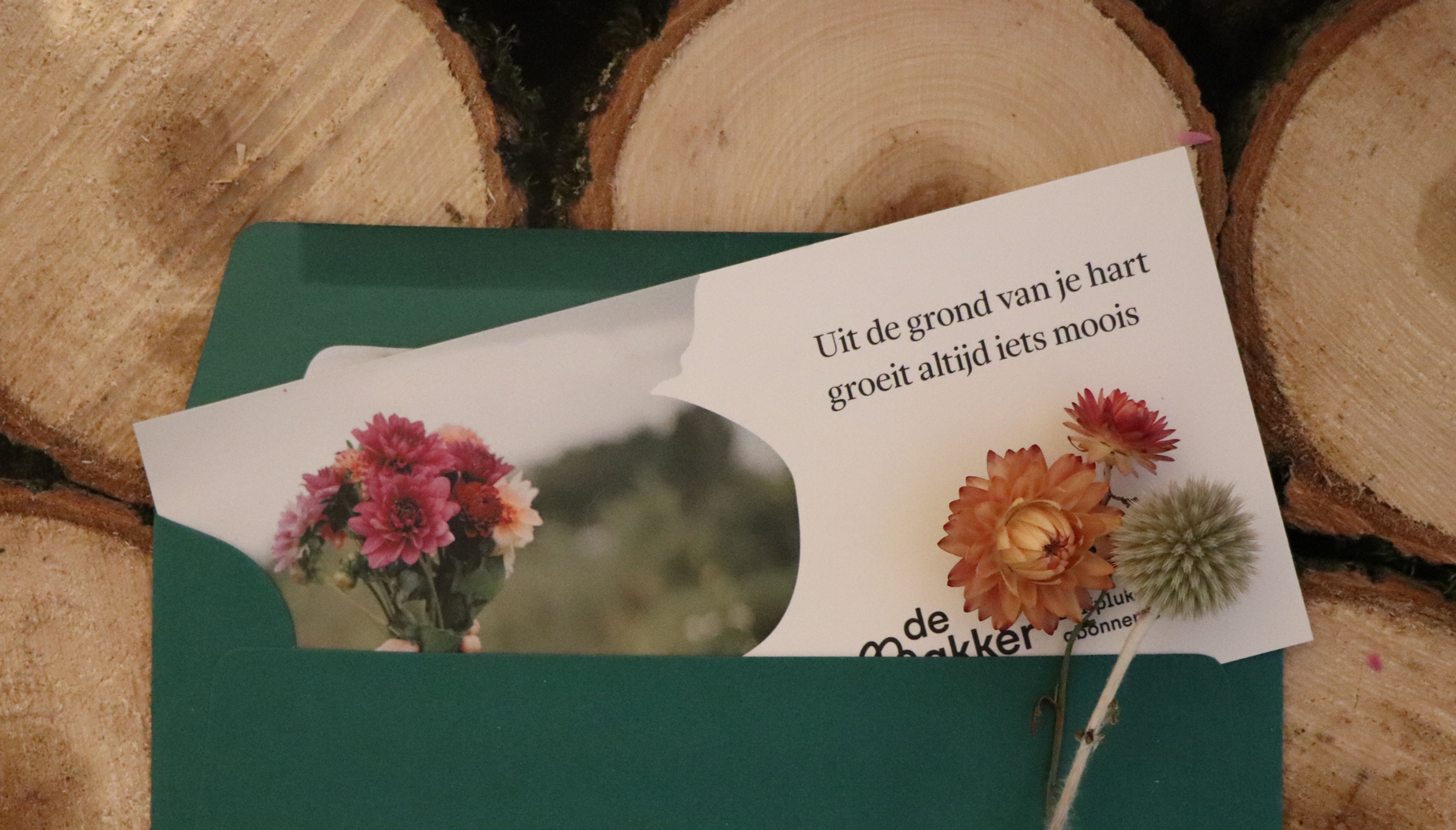 Uit de grond van je hart groeit altijd iets moois