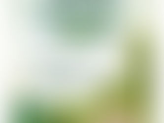 ๐ฟ ๐๐๐ข๐ฅ๐ก๐๐ง๐ ๐๐๐ ๐ฉ๐๐ฅ๐๐ ๐ฃ๐จ๐๐๐ง๐ข ๐ฎ๐ฌ๐ฎ๐ฒ ๐ฟ