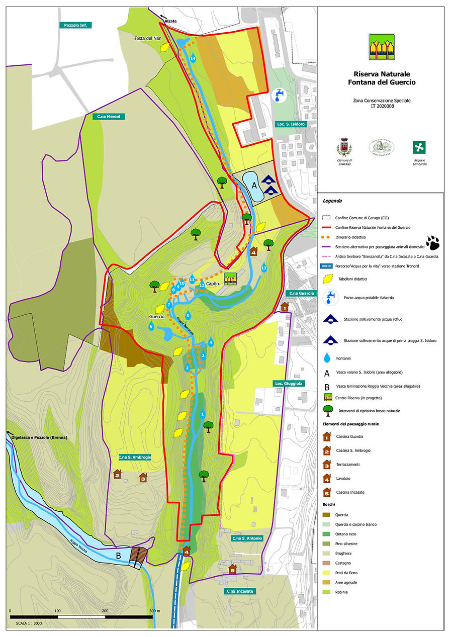 Piantina corretta-001_edited.jpg