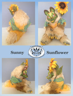 Sunny2