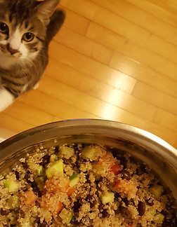 quinoa black bean salad