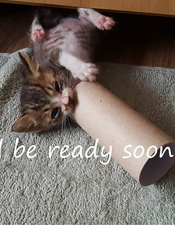 Will be ready soon....jpg