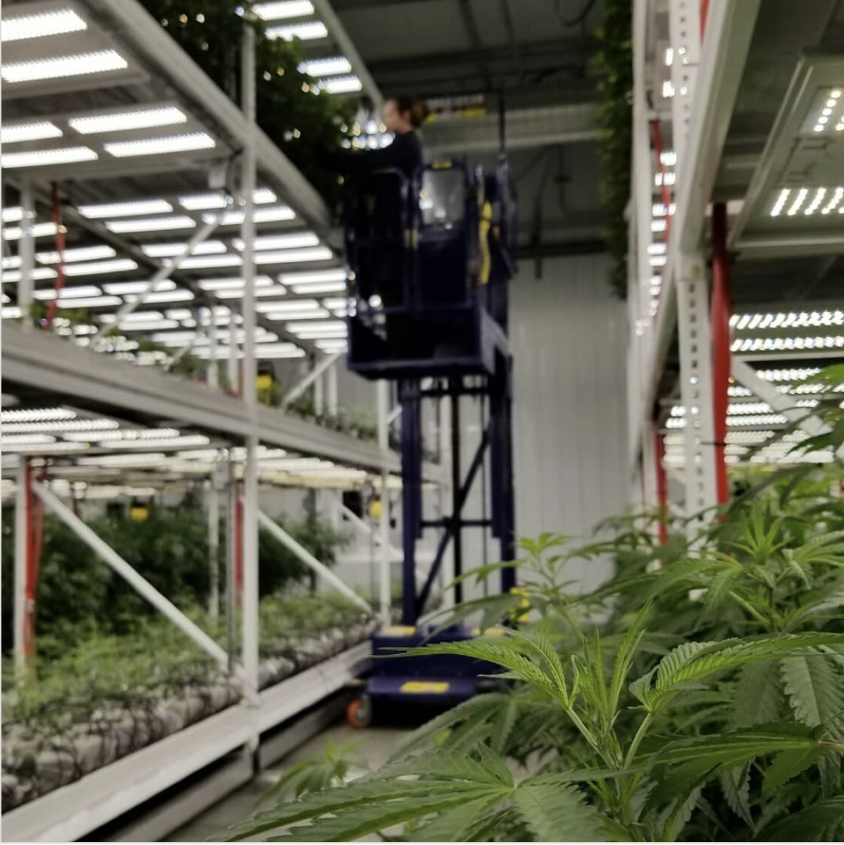 GTI claims social equity mantle as it quits Illinois cannabis trade group, but its own social equity record lacks sheen content media