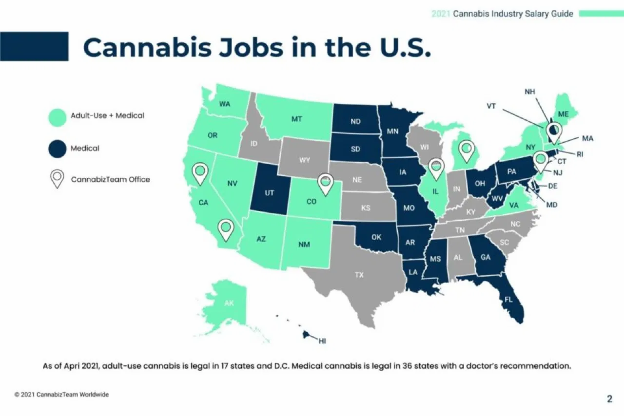 Cannabis Stealing Workers From Just About Every Other Industry content media