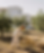 HOUSE OF IBIZA - OLIVE GROVE HOUSE WOMAN4bf690a7-710a-42b6-95b0-a3fb8275312c-gigapixel-low
