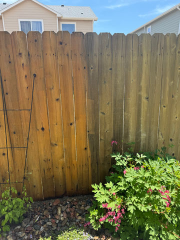 Fence Glow-Up