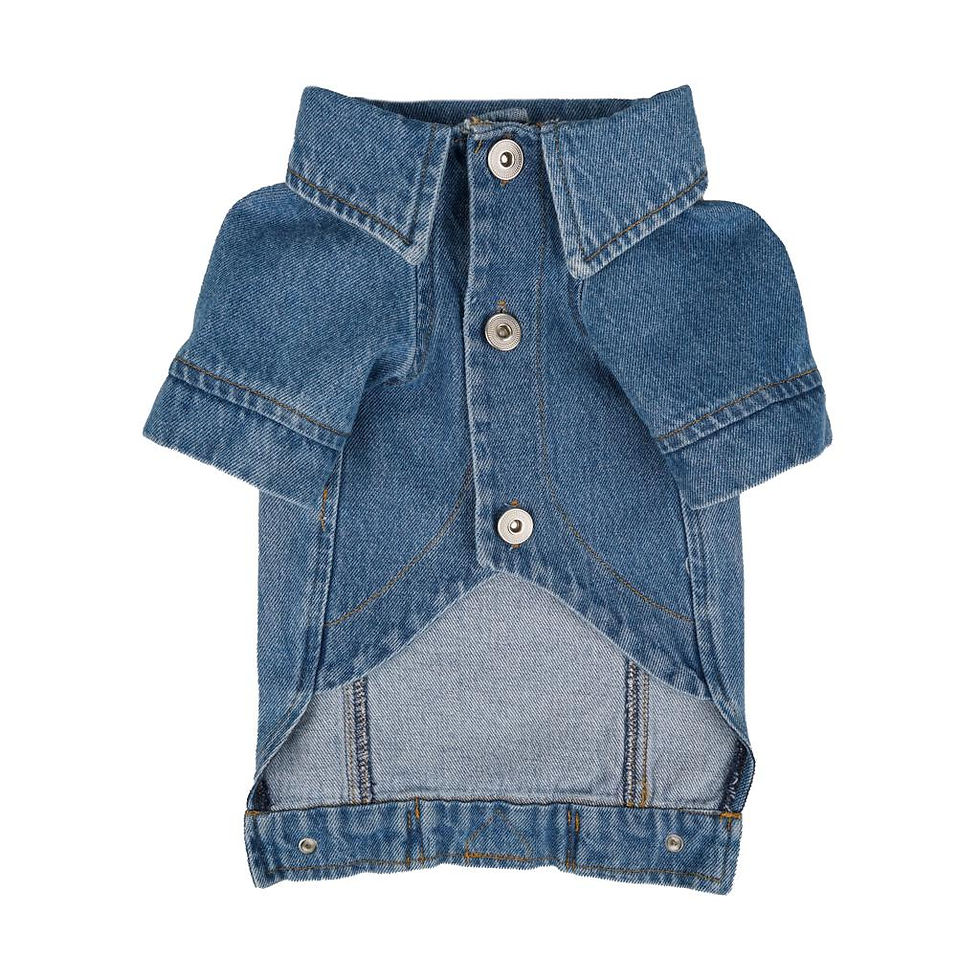 Thumbnail: Betty Denim Jacket