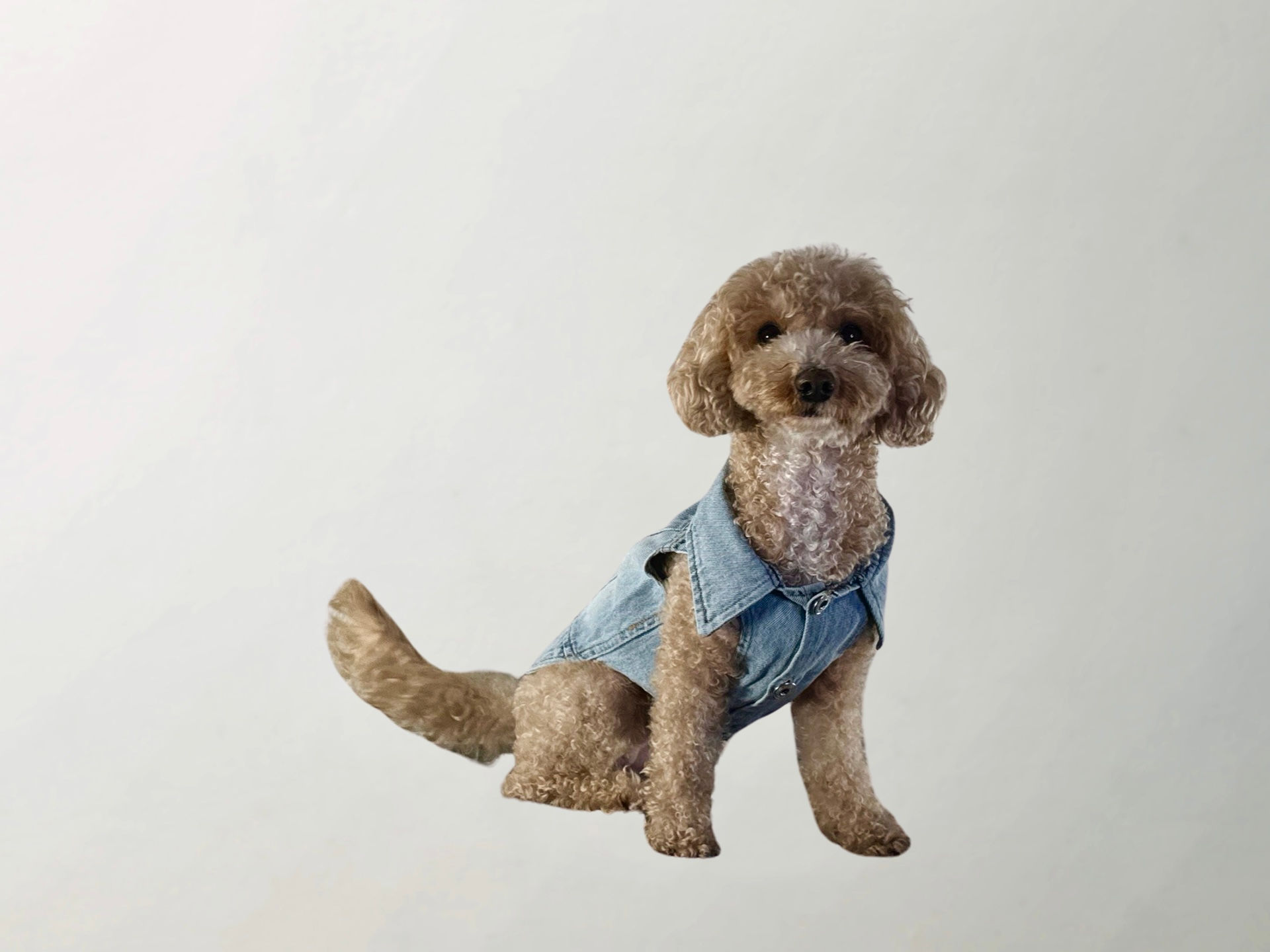 Wilma Denim Vest