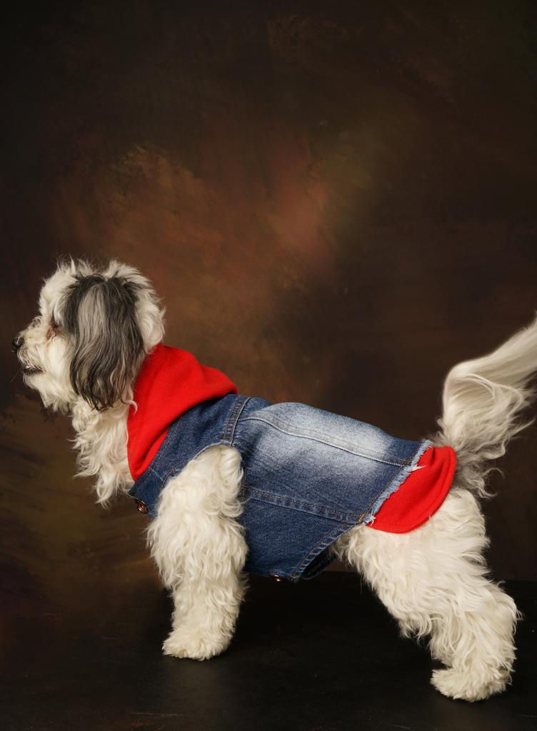 Thumbnail: Betty Casual Denim Vest