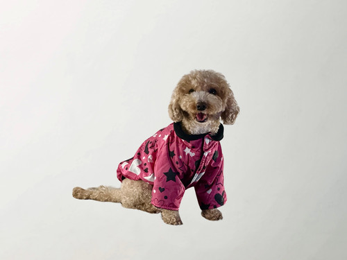 Barkbie Raincoat | Queendom of Mia