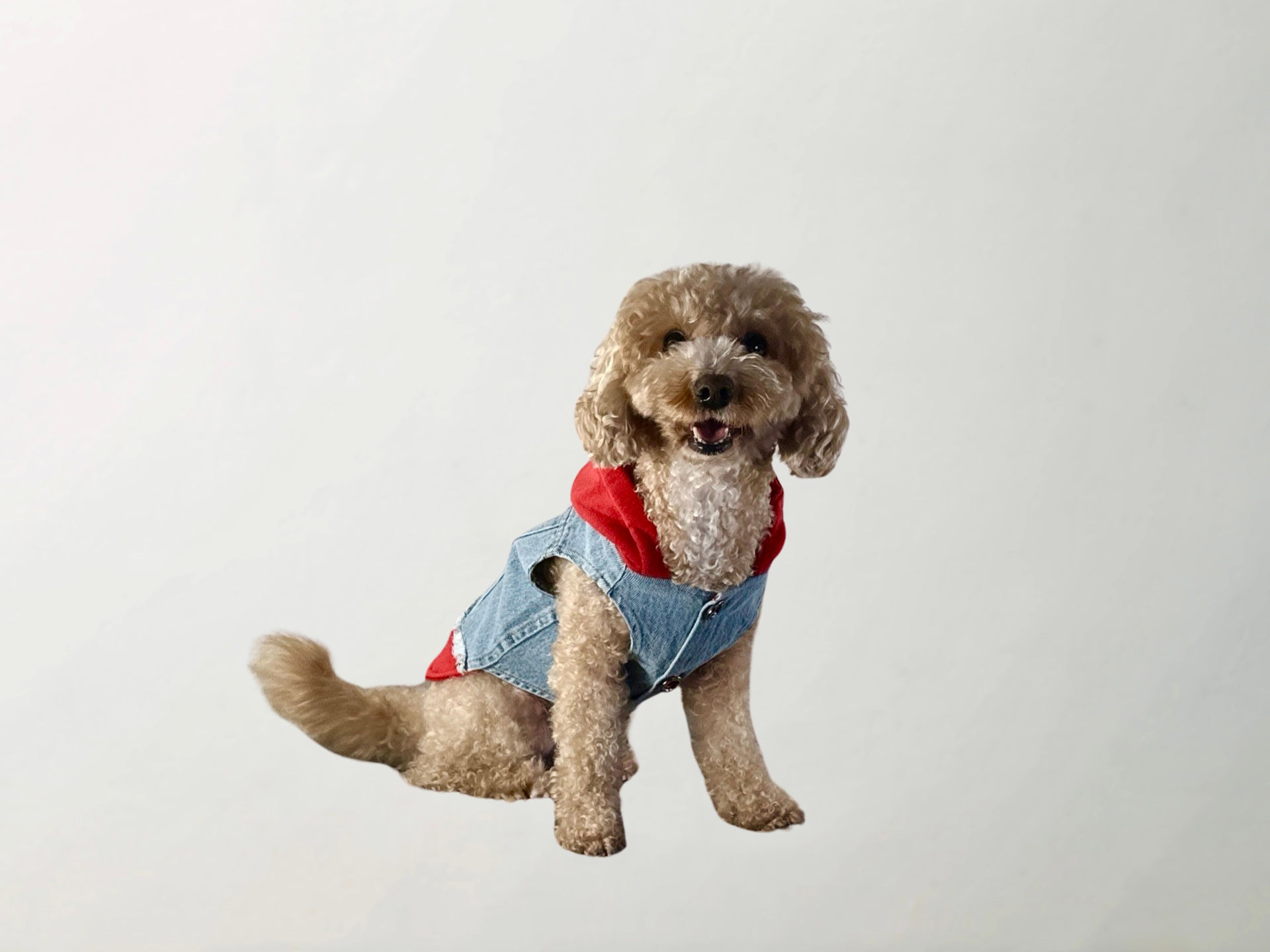 Wilma Casual Denim Vest