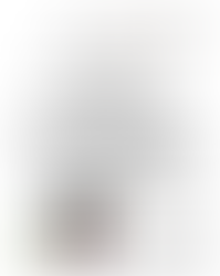 La vase des assiettes