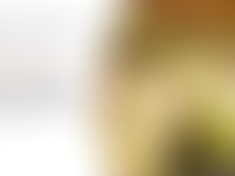 Pour se régaler sans vider son porte-monnaie.