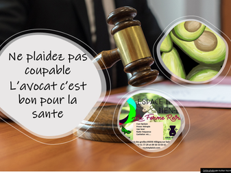 les avocats