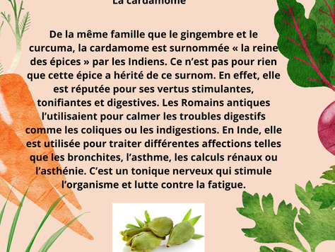 Les épices en cuisine