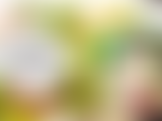 La cuisine pour végétarien 