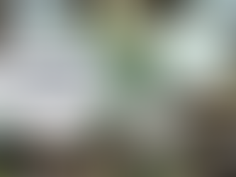 Cuisinez des plats goûteux avec des surgelés