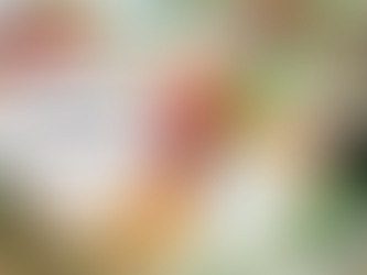 Cuisine mini budget, mais goûteuse