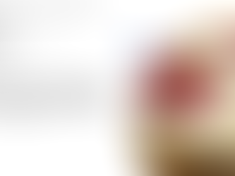 les fruits rouges du 24juillet