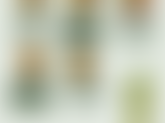 Les salades du 20 au 24 avril 2026