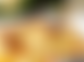 Gratin léger de chou-fleur à la dinde 20 aout