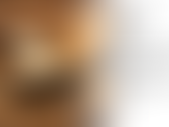 Le miracle du son d’avoine Et ses flocons