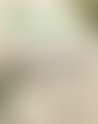 Les huiles essentielles