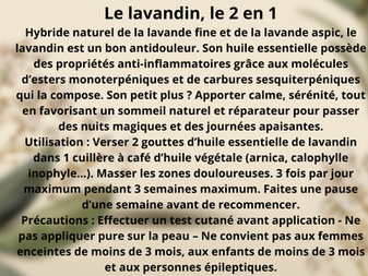 Les huiles essentielles