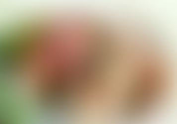 Roulades de dinde au chèvre 4 fév..