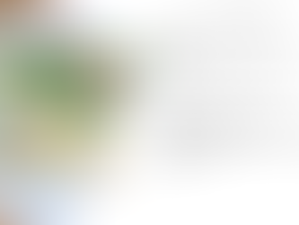 les petits matins léégers