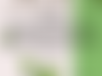 Les huiles essentielles